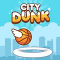 Metropolis Dunk